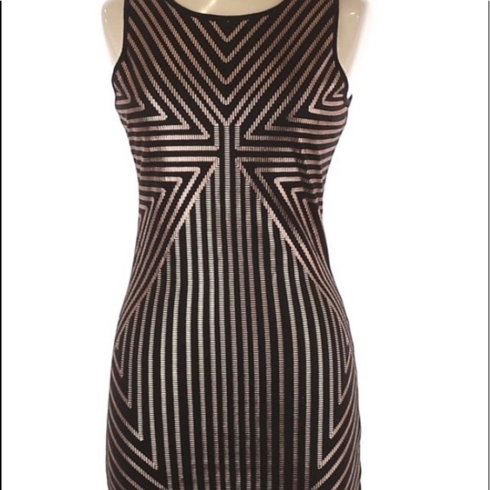 Minkpink Bodycon Dress